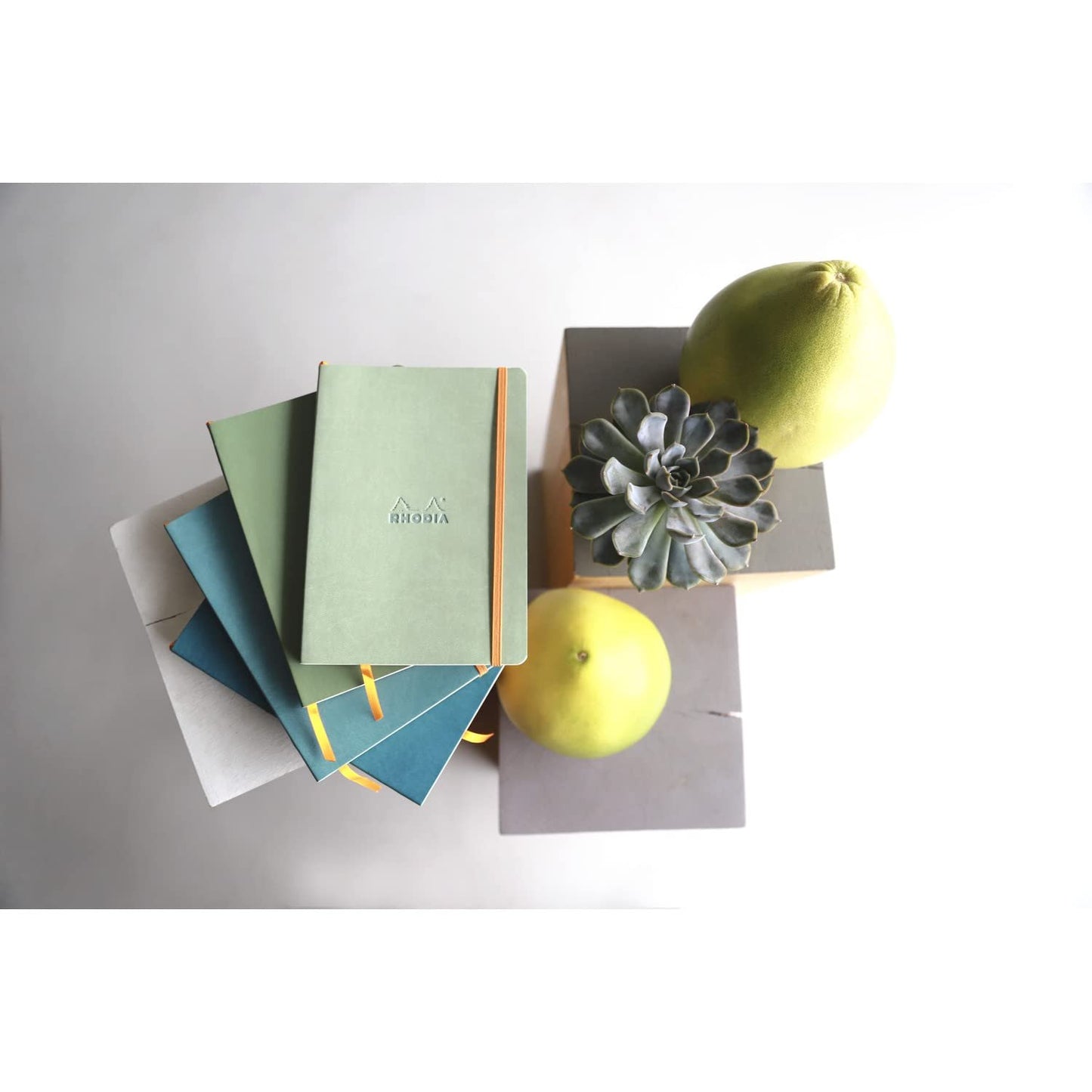 Rhodia Rhodiarama Leatherette Softcover Notebook