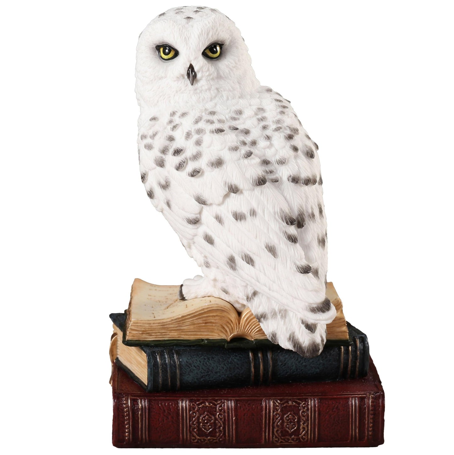 Veronese Design 6 7/8 Inch Snowy Owl Perching On Stack of Books Resin Sculpture Hand Painted Figurine Animal Home Decor Statue