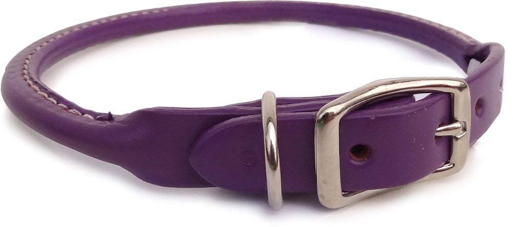 Rolled Leather Collar, Classic Rounded Edges with a Nickel-Plated Buckle, A Festive Choice for Small, Medium and Large Dogs, Made in The USA