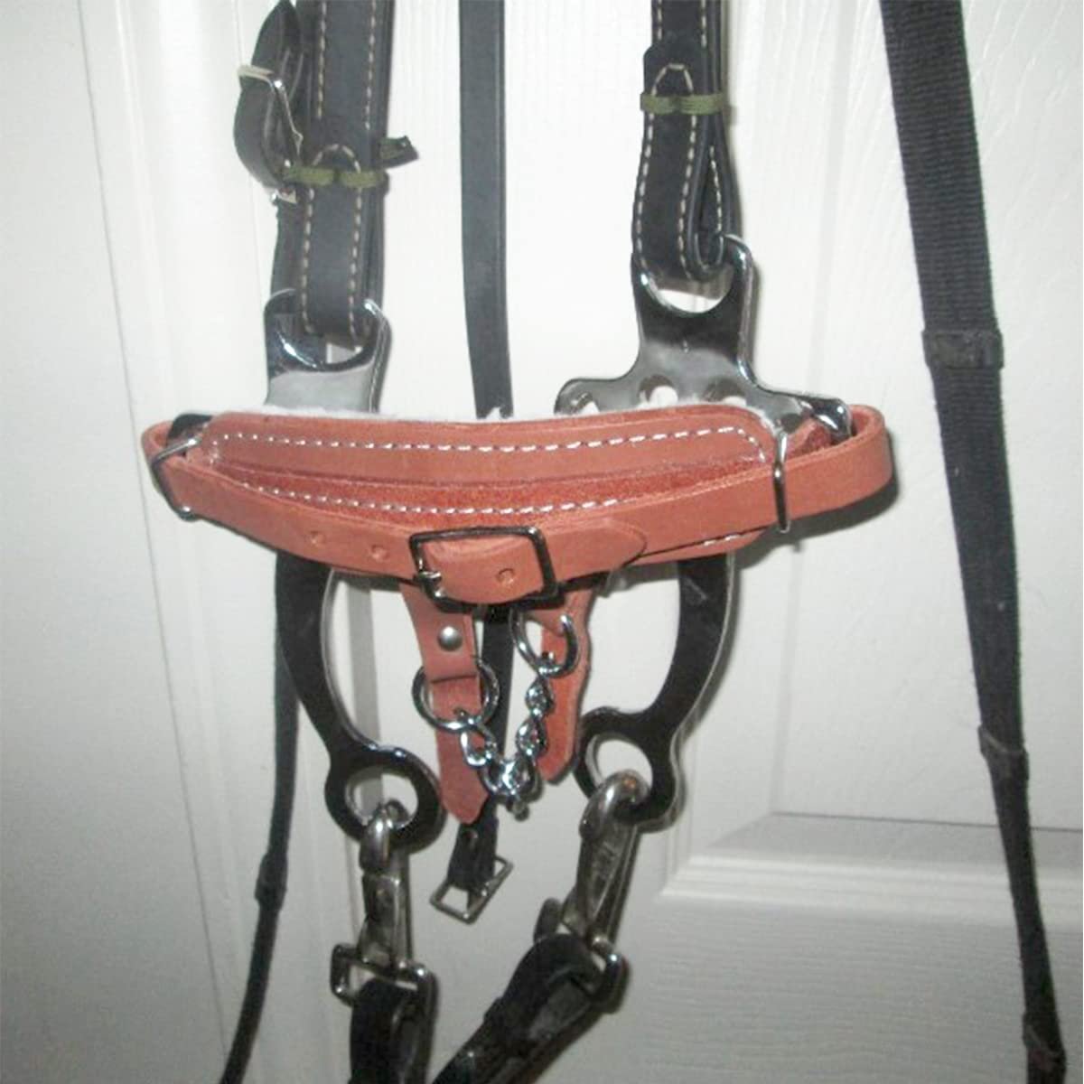 Aime Imports Western CP Fleece Lined Hackamore with Curb Strap