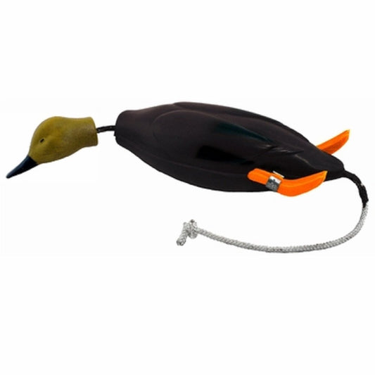 Dokken Dead Fowl Black Duck Hunting Dog Retriever Trainer