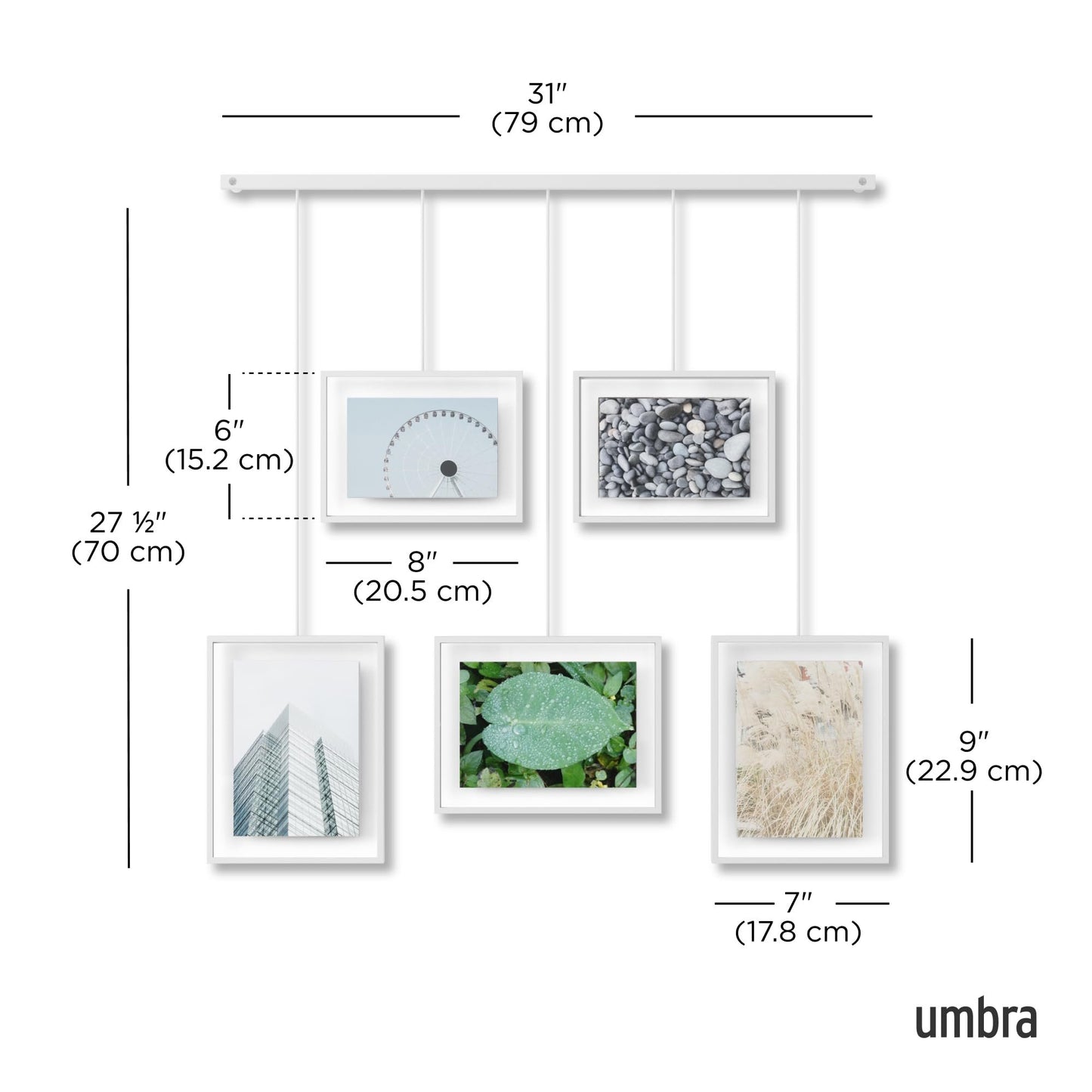 Umbra Exhibit Wall Picture