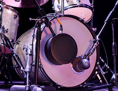 Solomon Mics Lofreq Sub Mic Microphone