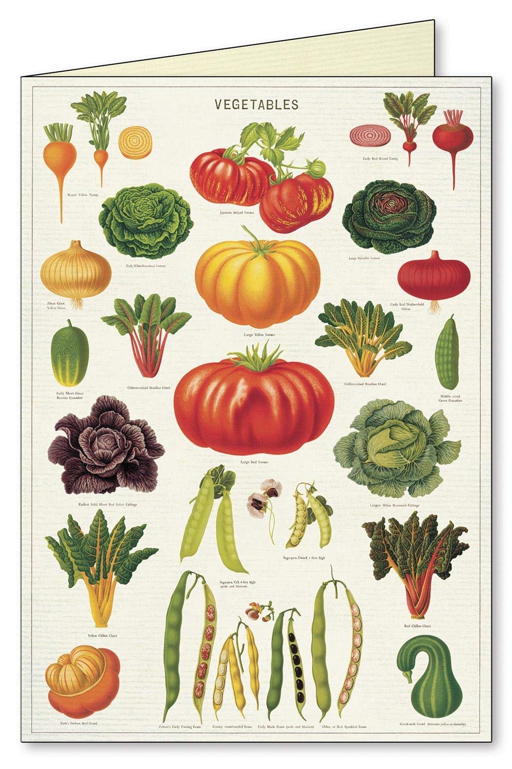 Jardin Boxed Note Cards