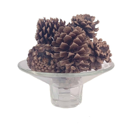 Cinnamon Cider Pinecone Bag – Aromatique, 6 oz, Brown