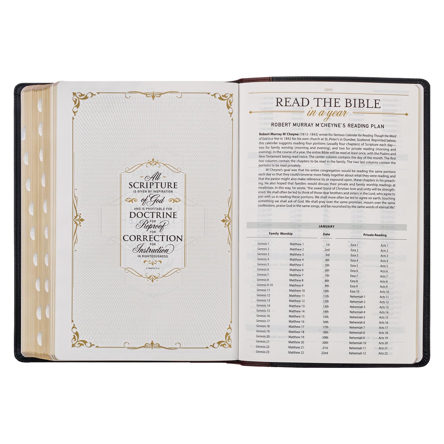 KJV Study Bible, Large Print King James Version Holy Bible, Thumb Tabs, Ribbons, Premium Full Grain Leather Black/Burgundy Debossed (KJV Study Editions LP)