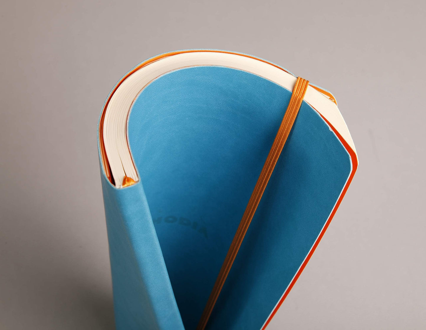 Rhodia Rhodiarama Leatherette Softcover Notebook