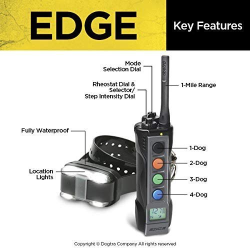 Dogtra Edge Long Range High-Output 1-Mile Waterproof 4-Dog Expandable Remote Dog Training E-Collar with LED Receiver for Professionals