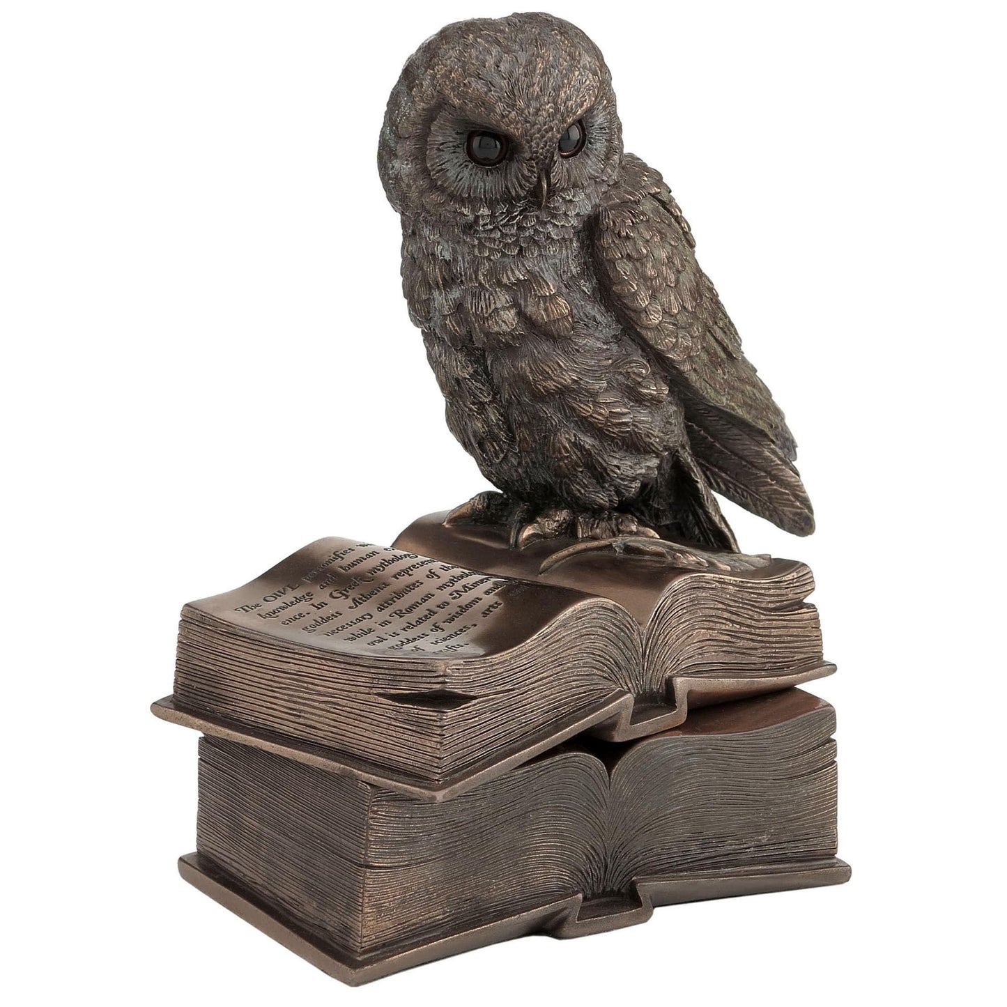 Veronese Design 7 1/8 Inch Owl Perched On Top of Books Cold Cast Resin Bronze Finish Trinket Stash Box