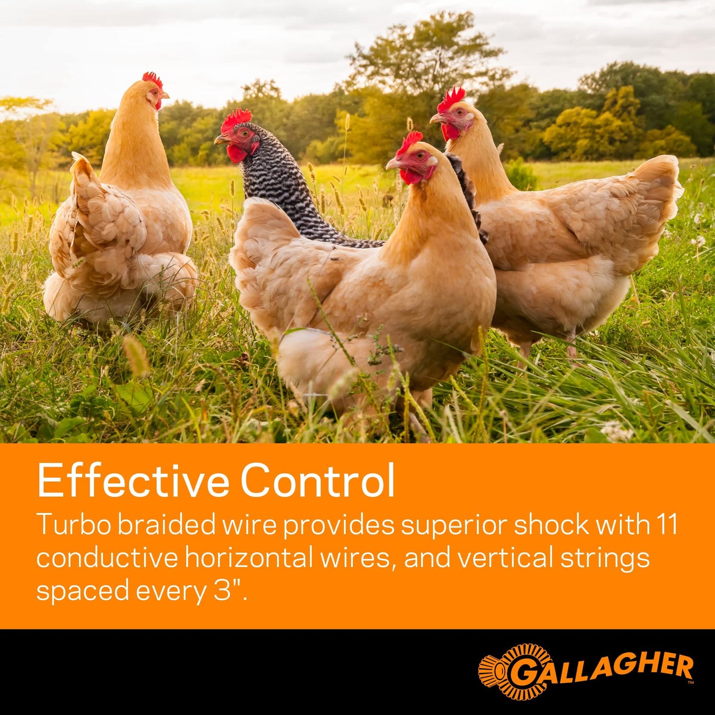 Gallagher 48" x 82' Electric Poultry Netting | Highly Conductive Braided Electric Chicken Fencing with Double-Spiked Fiberglass Posts | Electric Fencing for Backyards, Pastures, Farms and Homesteads