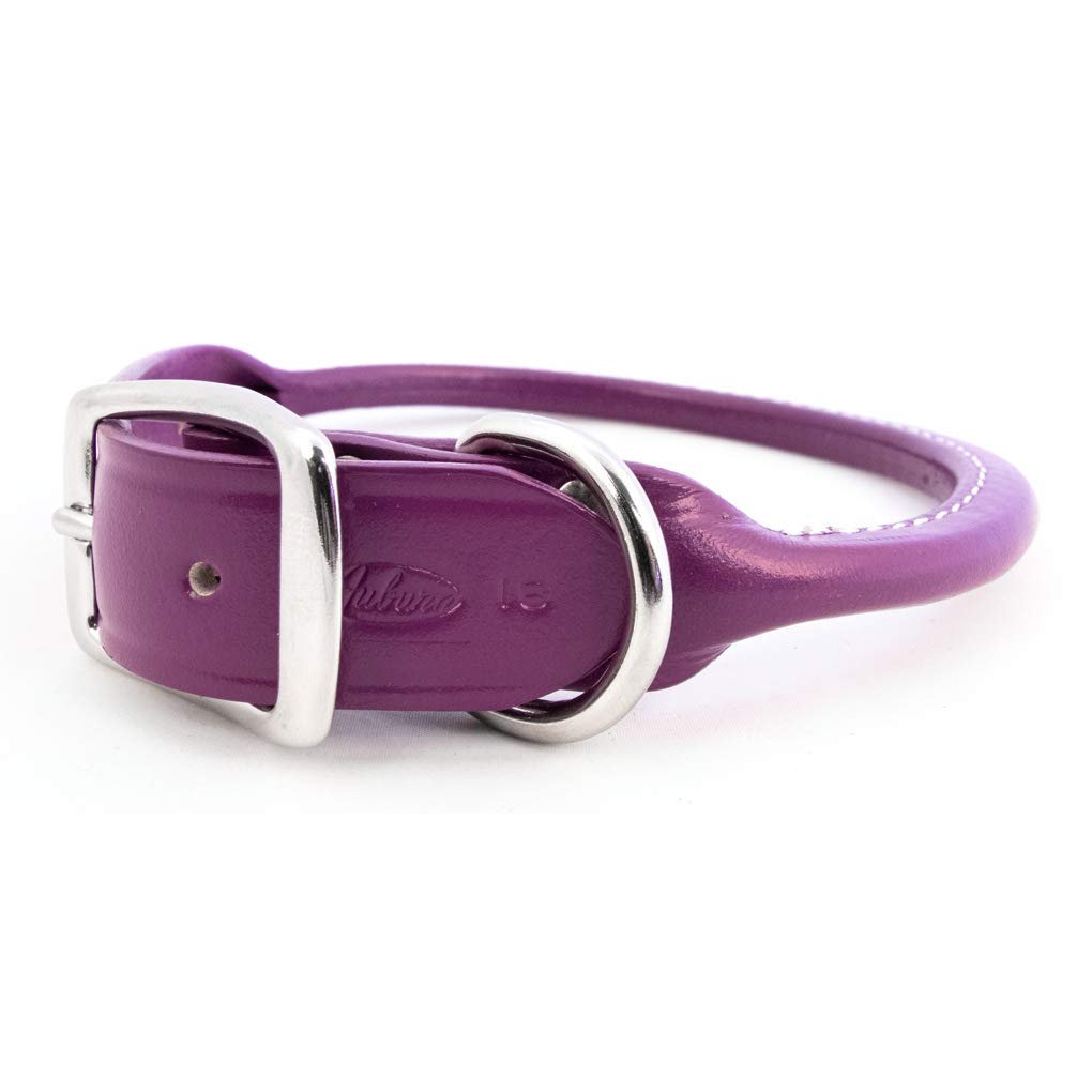 Rolled Leather Collar, Classic Rounded Edges with a Nickel-Plated Buckle, A Festive Choice for Small, Medium and Large Dogs, Made in The USA