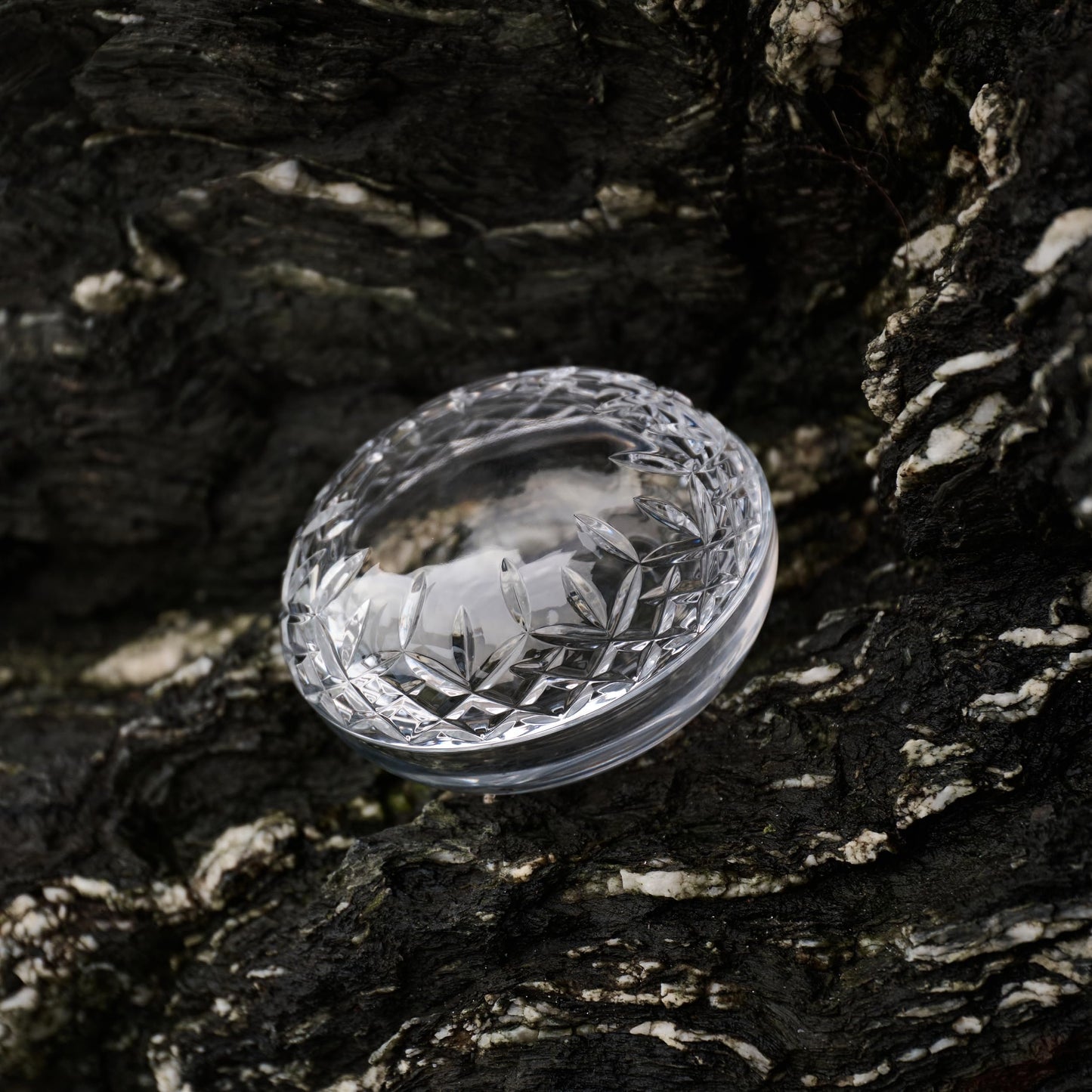 Waterford Lismore Essence Covered Box 5in