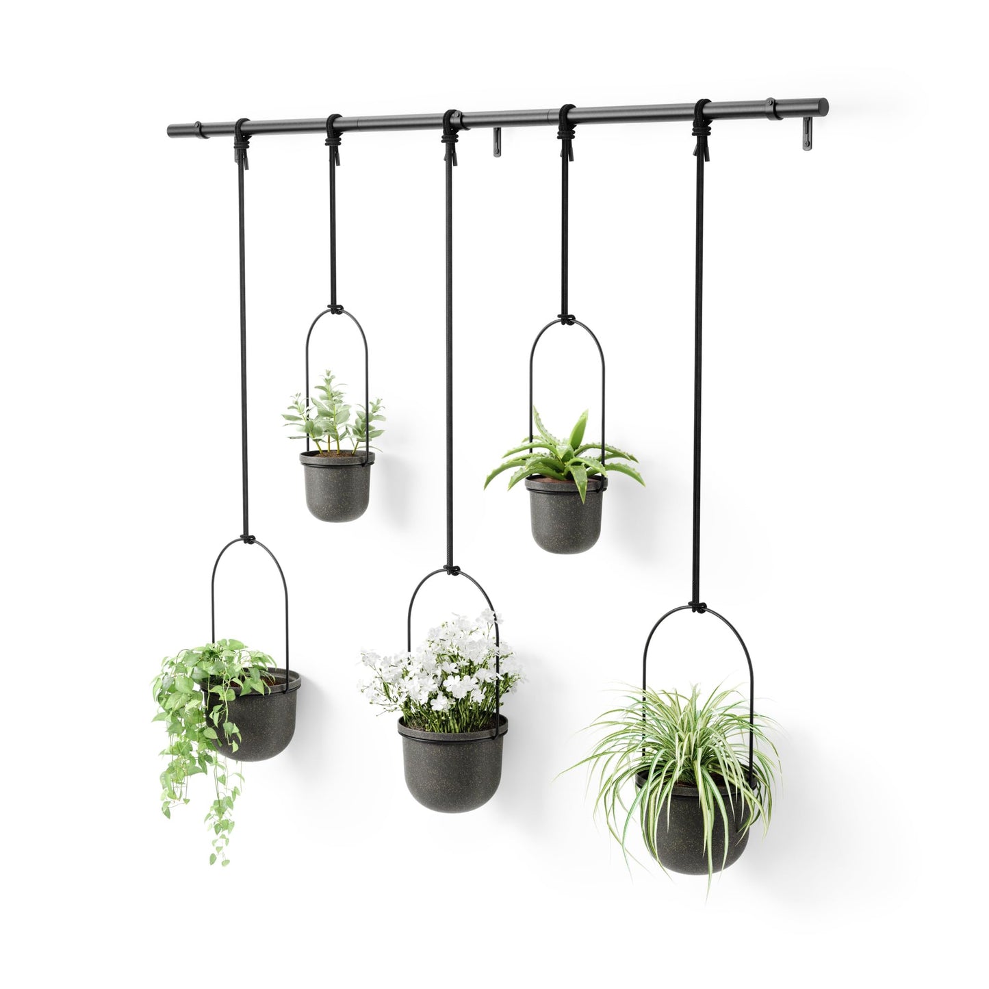 Umbra Triflora Hanging Planter for Window