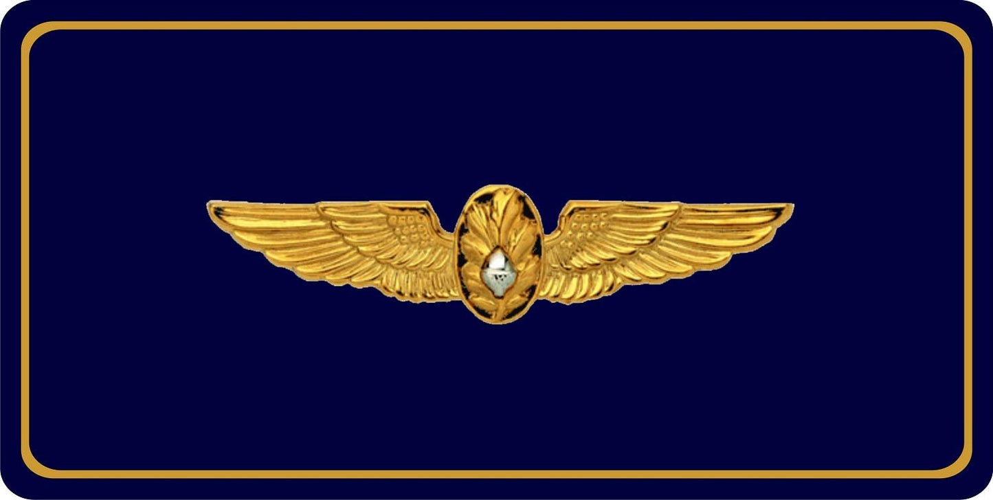 212 Main LPO4695 6 x 12 in. U.S. Navy Flight Surgeon Photo License Plate