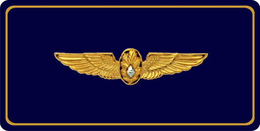 212 Main LPO4695 6 x 12 in. U.S. Navy Flight Surgeon Photo License Plate