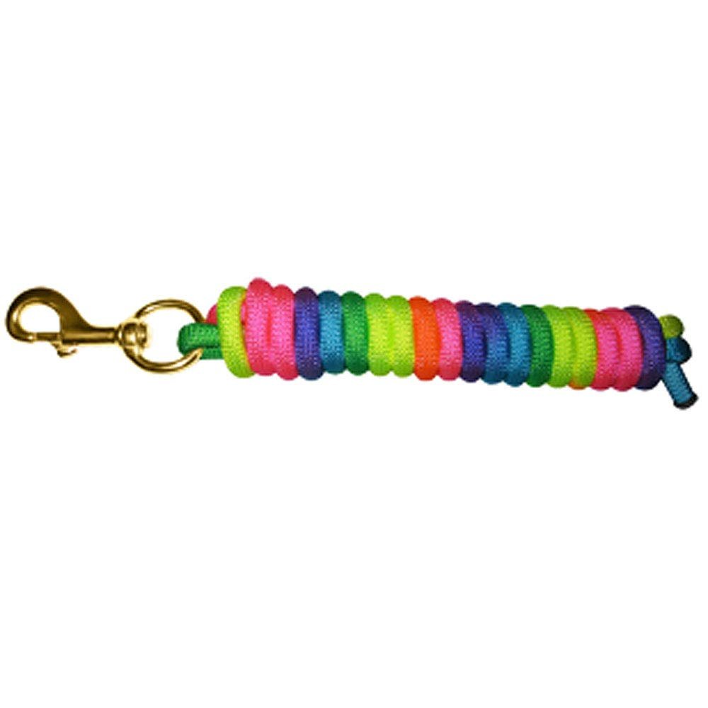 Aime Imports Basic Rainbow Poly Lead Rope with Bolt Snap