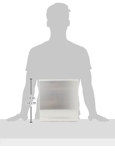 Blomus 66656 Stainless Steel Paper Towel Dispenser