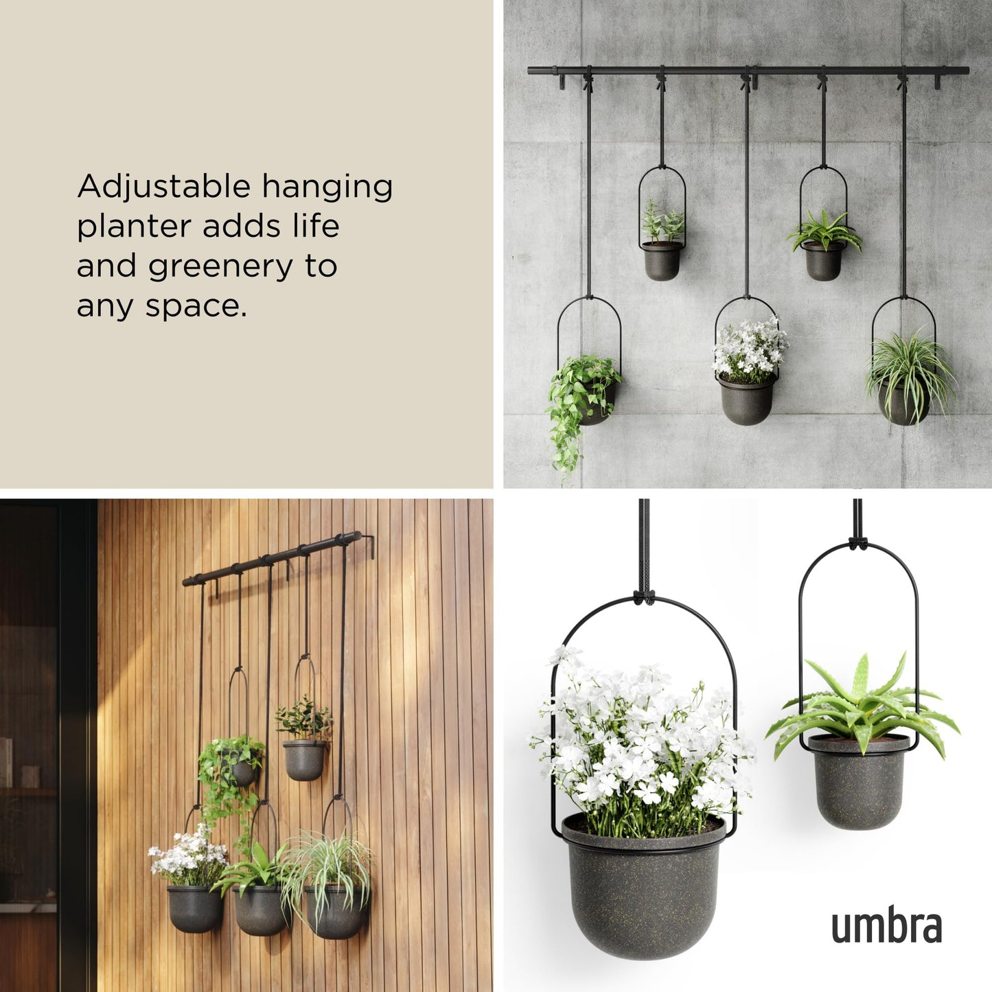 Umbra Triflora Hanging Planter for Window