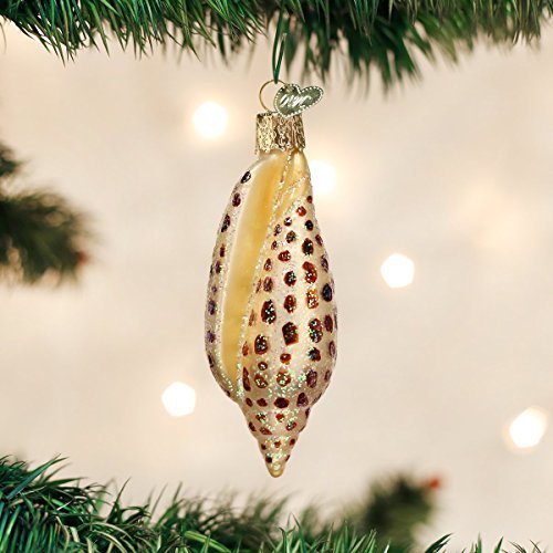 Old World Christmas Ornaments: Beach Shells Glass Blown Ornaments for Christmas Tree