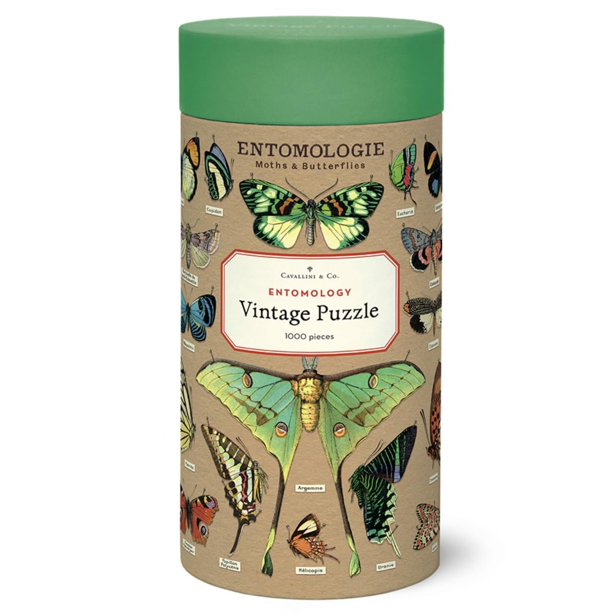 Cavallini & Co. Entomology Puzzle, 1000 Pieces