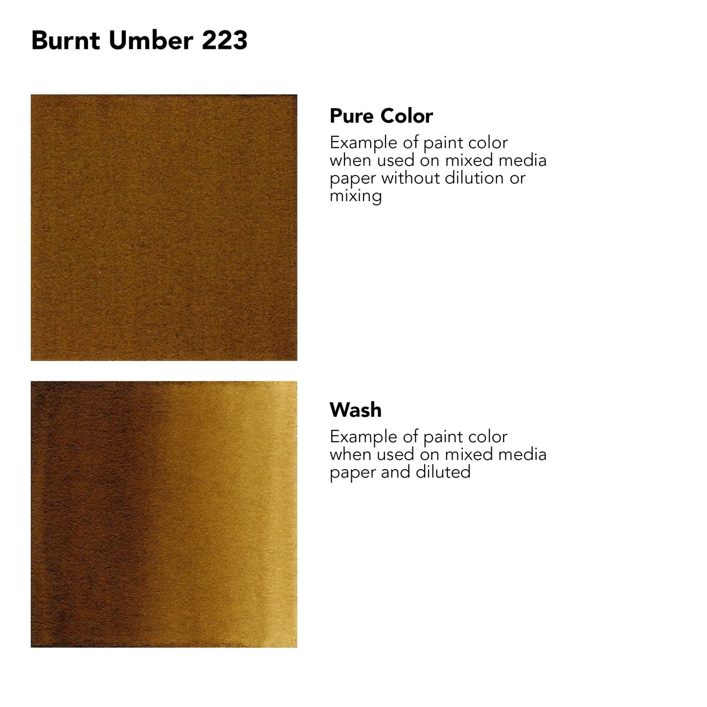 Daler-Rowney FW Acrylic Artists Ink, 180ml/6oz Plastic Bottle, Burnt Umber (D160181223)
