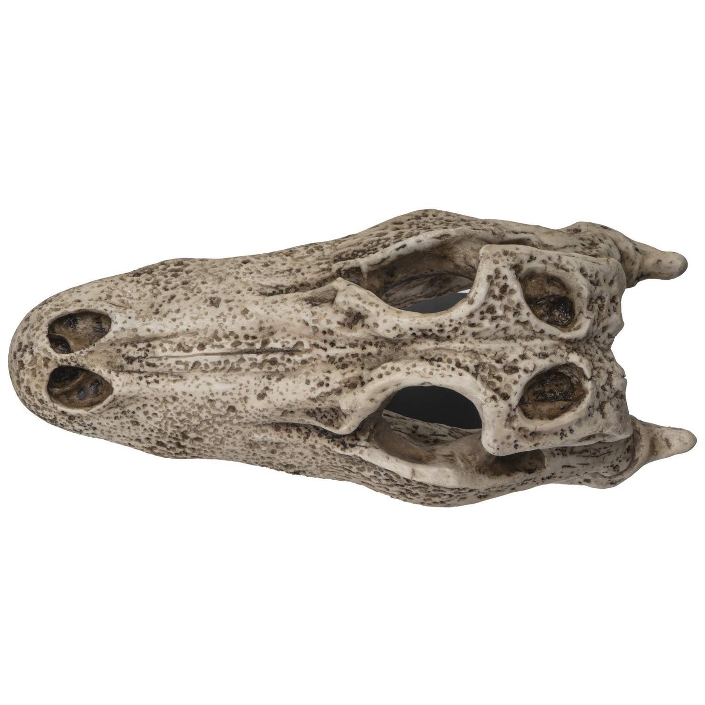 Pacific Giftware Replica Animals Alligator Skeleton Skull Fossli Resin Figurine